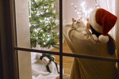 Vitrinde Noel Baba şapkalı güzel bir kadın, arka planda Noel ağacı ışıklarıyla sevimli bir kediye sarılıyor. Evde atmosferik Noel arifesi. Mutlu Noeller! Tatil sahnesi