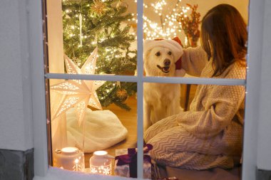 Mutlu Noeller! Oturma odasının camında sata şapkalı şirin bir köpekle Noel ışıkları ve hediyelerle oturan mutlu bir kadın. Evde atmosferik Noel arifesi. Tatil büyülü sahnesi