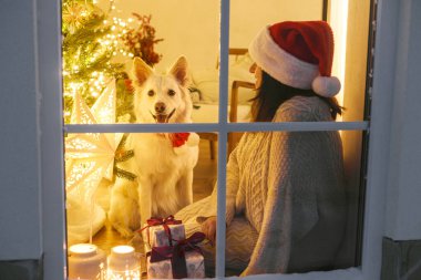 Noel Baba şapkalı mutlu bir kadın. Karlı penceresinde şirin bir köpekle oturuyor. İçinde Noel ağacı ışıkları ve hediyeler var. Evde atmosferik Noel arifesi. Mutlu Noeller.!