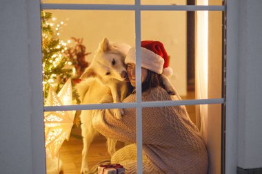 Mutlu Noeller! Samimi süveter ve Noel Baba şapkalı mutlu bir kadın oturma odasında Noel ışıkları ve hediyelerle sevimli bir köpeğe sarılıyor. Evde atmosferik Noel arifesi. Tatil sahnesi