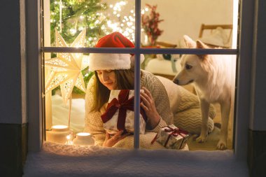 Noel Baba şapkalı, şık bir Noel hediyesiyle oturan mutlu bir kadın ve Noel ağacı ışıklarıyla şenlik odasının içinde karlı pencerede duran sevimli bir köpek. Evde atmosferik Noel arifesi. Mutlu Noeller.!
