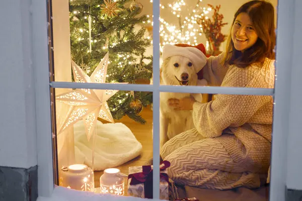 Mutlu Noeller! Oturma odasının camında sata şapkalı şirin bir köpekle Noel ışıkları ve hediyelerle oturan mutlu bir kadın. Evde atmosferik Noel arifesi. Tatil büyülü sahnesi