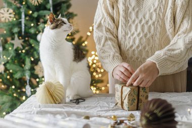 Şirin kedi, süslü süveter giymiş bir kadına Noel hediyesi paketini dekore edilmiş dekoratif Noel ağacının ışıklarla süslenmiş modern süslemeleriyle birlikte masaya yapıştırmada yardım ediyor. Mutlu Noeller ve mutlu tatiller