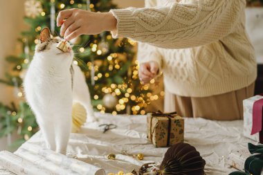 Şirin kedi, süslü süveter giymiş bir kadına Noel hediyesi paketini dekore edilmiş dekoratif Noel ağacının ışıklarla süslenmiş modern süslemeleriyle birlikte masaya yapıştırmada yardım ediyor. Mutlu Noeller ve mutlu tatiller