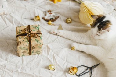 Şirin kedi şık bir Noel hediyesinde yatıyor ve modern süslemelerle kırsal masaya kağıt örtüyor. Mutlu Noeller! Evcil hayvanlar ve kış tatilleri