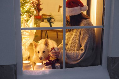 Noel Baba şapkalı mutlu bir kadın. Karlı penceresinde şirin bir köpekle oturuyor. İçinde Noel ağacı ışıkları ve hediyeler var. Evde atmosferik Noel arifesi. Mutlu Noeller.!
