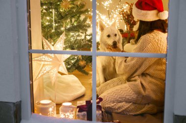 Noel Baba şapkalı mutlu bir kadın. Karlı penceresinde şirin bir köpekle oturuyor. İçinde Noel ağacı ışıkları ve hediyeler var. Evde atmosferik Noel arifesi. Mutlu Noeller.!