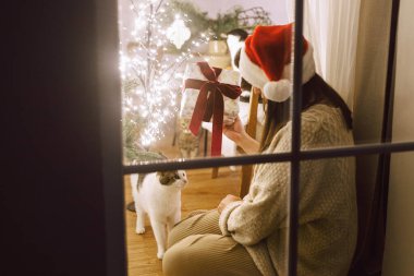 Mutlu Noeller! Vitrinde Noel Baba şapkalı mutlu bir kadın şık bir hediye tutuyor ve ışıklarla dolu bir oturma odasında Noel ağacının arka planında sevimli bir kediye bakıyor. Evde atmosferik Noel arifesi