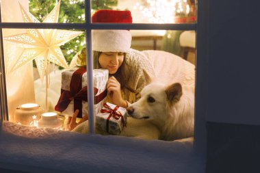 Noel Baba şapkalı, şık bir Noel hediyesiyle oturan mutlu bir kadın ve Noel ağacı ışıklarıyla şenlik odasının içinde karlı pencerede duran sevimli bir köpek. Evde atmosferik Noel arifesi. Mutlu Noeller.!