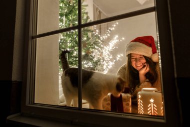 Noel Baba şapkalı mutlu kadın ve penceresinde şık hediyeli şirin kedi ve ışıklandırmalı yılbaşı ağacının arka planında parlayan fener. Evde atmosferik Noel arifesi. Tatil sahnesi