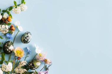 Mutlu Paskalyalar! Modern sarı yumurtalar ve bahar çiçekleri mavi arkaplanda yazı için boşluk bırakırlar. Paskalya bayrağı, poster şablonu