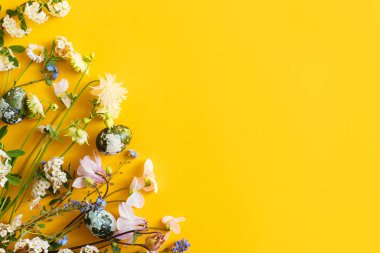 Paskalya düzlüğü. Şık paskalya yumurtaları ve sarı çiçekler.