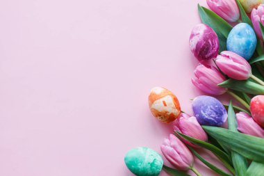 Paskalya düzlüğü. Paskalya yumurtaları ve pembe arka planda pembe laleler. Paskalya modern afiş modeli. Mutlu Paskalyalar