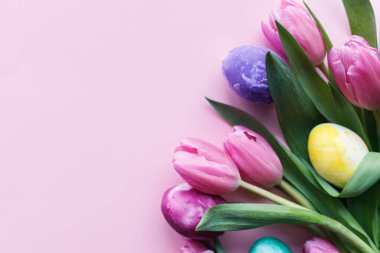 Mutlu Paskalyalar! Pembe laleli renkli Paskalya yumurtaları pembe arka planda düz bir sınır çiziyor, mesaj için boşluk. Paskalya bayrağı, poster şablonu