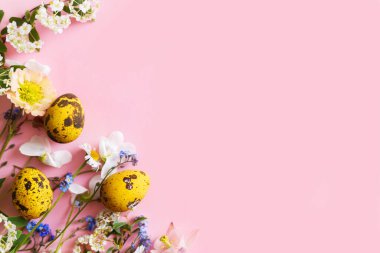 Paskalya düzlüğü. Paskalya yumurtaları ve pembe arka planda bahar çiçekleri, yazı için yer. Paskalya modern asgari afiş. Sezon selamları. Model.