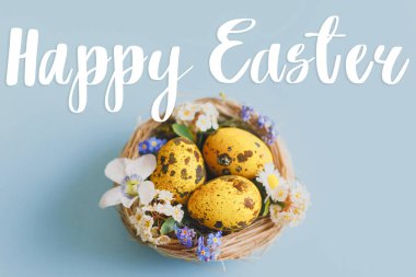 Paskalya tebrik kartı. Mutlu Paskalya metinleri ve yuvada Paskalya tarzı yumurtalar ve çiçek açan bahar çiçekleri mavi arka planda yatıyordu.