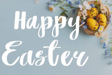 Paskalya tebrik kartı. Mutlu Paskalya metinleri ve yuvada Paskalya tarzı yumurtalar ve çiçek açan bahar çiçekleri mavi arka planda yatıyordu.