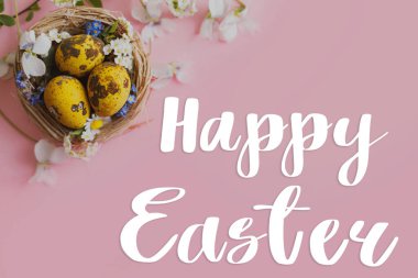 Paskalya tebrik kartı. Mutlu Paskalya metinleri ve yuvada Paskalya tarzı yumurtalar ve çiçek açan bahar çiçekleri pembe arka planda yatıyordu.