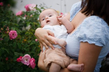 Annenin yaz bahçesinde yeni doğmuş bebeği kucağına aldığı fotoğraf. Annesinin tatlı oğlu dışarıda elini tutuyor. Anneler Günün kutlu olsun! Evlat edinme, aşk ve aile kavramı