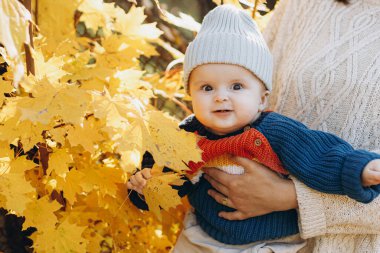 Sonbahar sarısı yaprakları olan sevimli bir erkek bebek. Çocukluk. Şık bir anne, sonbahar parkında sevimli oğlunu sıcak kazaklarıyla tutuyor.