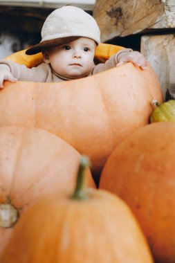 Ön kapıda büyük bir balkabağının içinde oturan tatlı erkek bebek. Cadılar bayramın ve Şükran Günün kutlu olsun. Küçük sevimli bir çocuk rahat giysiler içinde verandada balkabaklarıyla oturuyor, sonbahar dekoru evde.