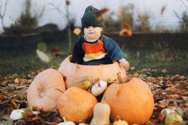 Büyük bir balkabağı ve sonbahar yapraklarıyla sonbahar parkında oynayan sevimli erkek bebek. Sıcak süveter giyen, balkabağı ve yapraklarla bahçesinde oturan sevimli, mutlu bir çocuk. Hasat ve Mutlu Şükran Günleri