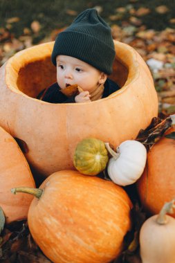 Büyük bir balkabağı ve sonbahar yapraklarıyla sonbahar parkında oynayan sevimli erkek bebek. Sıcak süveter giyen, balkabağı ve yapraklarla bahçesinde oturan sevimli, mutlu bir çocuk. Hasat ve Mutlu Şükran Günleri