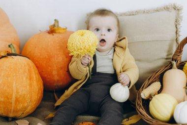 Çiçek tutan, balkabaklarına oturan, sonbahar yapraklarına bakan tatlı, mutlu erkek bebek. Mutlu Şükran Günleri ve Cadılar Bayramı. Sonbahar hasadı. Evinde sonbahar dekoru olan tatlı çocuk.