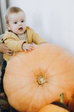 Mutlu Şükran Günleri ve Cadılar Bayramı. Balkabaklarının, sonbahar yapraklarının ve çiçeklerin önünde duran tatlı, mutlu erkek bebek. Sonbahar hasadı. Evinde sonbahar dekoru olan tatlı çocuk.
