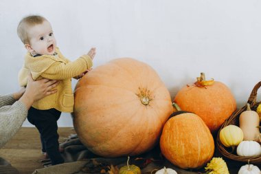 Balkabaklarının, sonbahar yapraklarının ve çiçeklerin önünde duran tatlı, mutlu erkek bebek. Sonbahar hasadı. Mutlu Şükran Günleri ve Cadılar Bayramı. Evinde sonbahar dekoru olan tatlı çocuk.