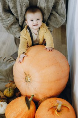 Balkabaklarının, sonbahar yapraklarının ve çiçeklerin önünde duran tatlı, mutlu erkek bebek. Sonbahar hasadı. Mutlu Şükran Günleri ve Cadılar Bayramı. Evinde sonbahar dekoru olan tatlı çocuk.