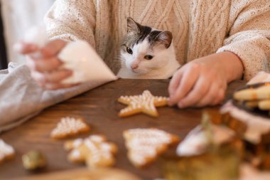 Şirin kedisi olan bir kadın birlikte zencefilli Noel kurabiyesi yapıyor. Masada kremalı kurabiyeler, tatlı kediyle dekore ediliyor. Atmosfer arifesi. Kış tatili hazırlığı