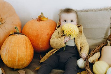 Balkabaklarıyla, sonbahar yapraklarıyla ve elinde çiçeklerle battaniyede oturan sevimli erkek bebek. Sonbahar hasadı ve Şükran Günün kutlu olsun. Evinde sonbahar dekoru olan sevimli mutlu bir çocuk.