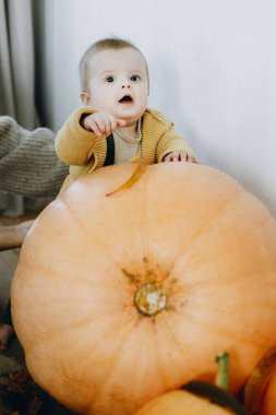 Balkabaklarının, sonbahar yapraklarının ve çiçeklerin önünde duran tatlı, mutlu erkek bebek. Sonbahar hasadı. Mutlu Şükran Günleri ve Cadılar Bayramı. Evinde sonbahar dekoru olan tatlı çocuk.