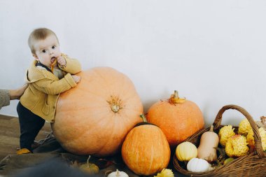 Balkabaklarının, sonbahar yapraklarının ve çiçeklerin önünde duran tatlı, mutlu erkek bebek. Sonbahar hasadı. Mutlu Şükran Günleri ve Cadılar Bayramı. Evinde sonbahar dekoru olan tatlı çocuk.