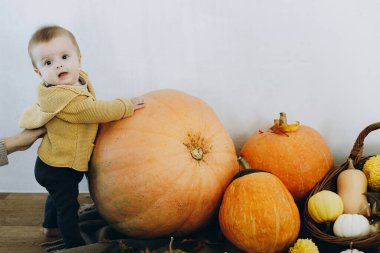 Mutlu Şükran Günleri ve Cadılar Bayramı. Balkabaklarının, sonbahar yapraklarının ve çiçeklerin önünde duran tatlı, mutlu erkek bebek. Sonbahar hasadı. Evinde sonbahar dekoru olan tatlı çocuk.