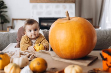 Mutlu Cadılar Bayramı. Komik duyguları olan, küçük balkabaklarını masaya koyan ve annesinin Jack O Fener 'i oymasına yardım eden sevimli bir çocuk. Aile Jack O feneri yapıyor, bayram zamanı