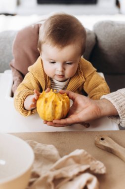Mutlu Cadılar Bayramı. Komik duyguları olan, küçük balkabaklarını masaya koyan ve annesinin Jack O Fener 'i oymasına yardım eden sevimli bir çocuk. Aile Jack O feneri yapıyor, bayram zamanı
