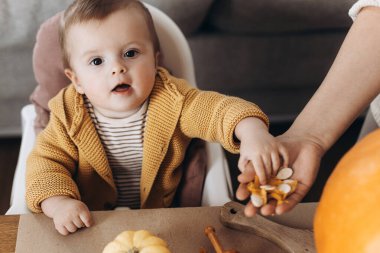 Mutlu Cadılar Bayramı. Sevimli bebek ve anne Cadılar Bayramı balkabağını ürkütücü cadılar bayramı dekoruyla masaya oyuyorlar. Aile Jack O feneri yapıyor, bayram zamanı
