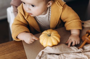 Cadılar Bayramı dekorlu küçük balkabaklarını masanın üstünde tutarak komik duygular besleyen sevimli bir erkek çocuk. Mutlu Cadılar Bayramı. Aile Jack O feneri yapıyor, bayram zamanı