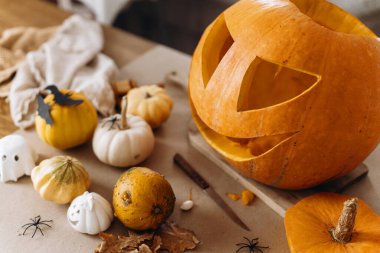 Kriko feneri yapıyorum. Cadılar bayramı balkabağı oyma masasında ürkütücü cadılar bayramı dekoruyla örümcekler ve yarasalar yaklaşıyor. Tatil hazırlama detayları. Mutlu Cadılar Bayramı