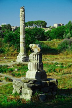 18 Haziran 2024 Selçuk İzmir Türkiye. Ephesus Selcuk 'taki Arthem tapınağı