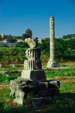 18 Haziran 2024 Selçuk İzmir Türkiye. Ephesus Selcuk 'taki Arthem tapınağı
