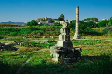 18 Haziran 2024 Selçuk İzmir Türkiye. Ephesus Selcuk 'taki Arthem tapınağı