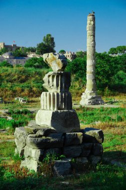 18 Haziran 2024 Selçuk İzmir Türkiye. Ephesus Selcuk 'taki Arthem tapınağı