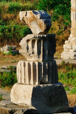 18 Haziran 2024 Selçuk İzmir Türkiye. Ephesus Selcuk 'taki Arthem tapınağı