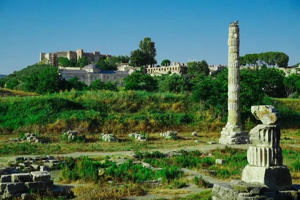 18 Haziran 2024 Selçuk İzmir Türkiye. Ephesus Selcuk 'taki Arthem tapınağı