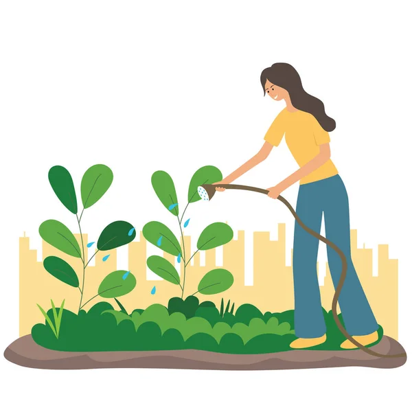 Bir Kadın Şehir Bahçesinde Sebze Topluyor — Stok Vektör
