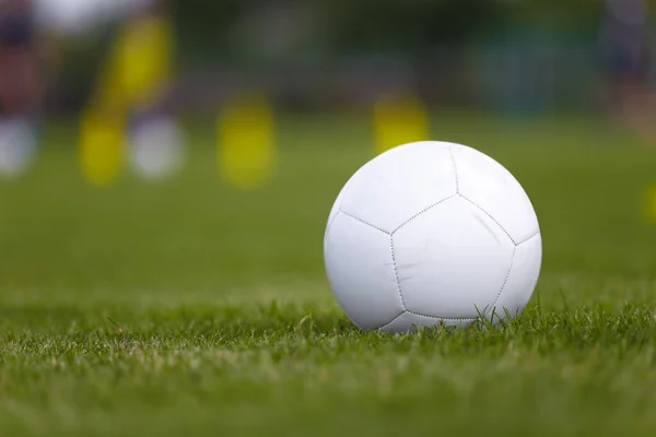 Soccer Ball Lush Green Grass Soccer Pitch Anticipating Next Game — Foto de Stock
