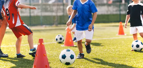 Çocuklar koni ile futbol antrenmanı. Gençlik Futbol Talimleri, Top Kontrolü ve Çimenlikteki Çocuklar İçin Çeviklik Uygulaması